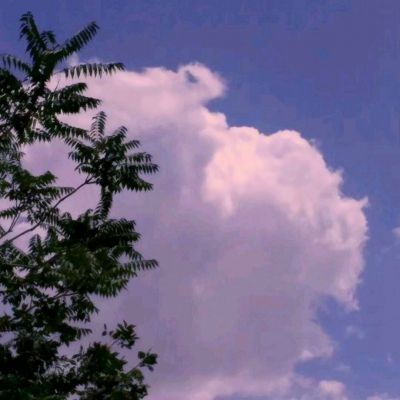 云开·全站APPkaiyun截图